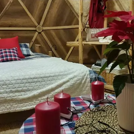 ラグジュアリーテント Igloo In The Woods - New, Warm And Inspiring