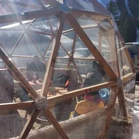 Igloo In The Woods - New, Warm And Inspiring