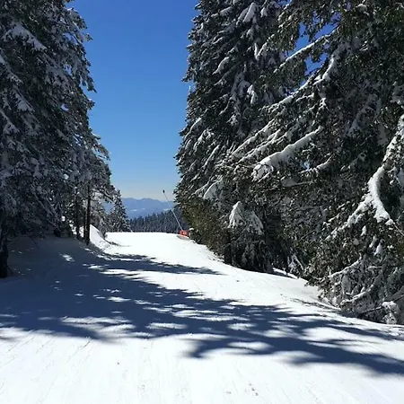 Igloo In The Woods - New, Warm And Inspiring אוהל מפואר פמפורובו